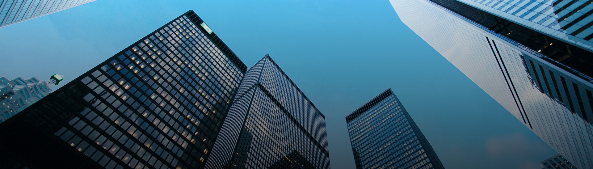 老子有钱lzyq88介绍