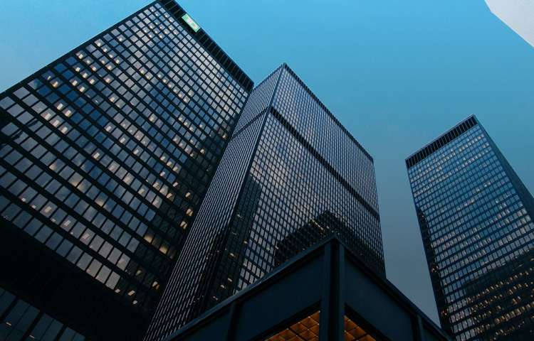 老子有钱lzyq88介绍